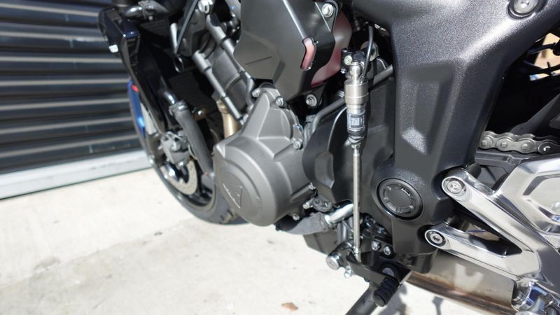 New 2025 Triumph Trident 660 