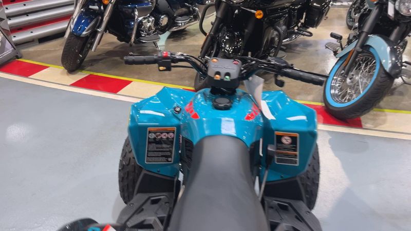 New 2026 Can-Am RENEGADE 70 EFI Image 2