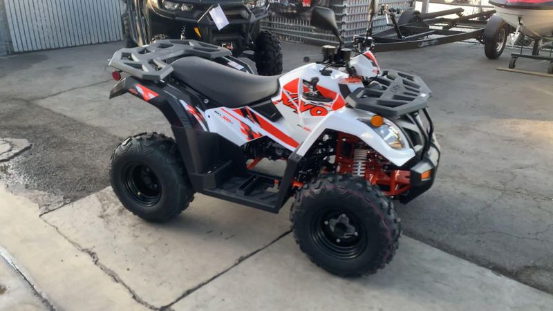 New 2025 Kayo BULL 300 EFI Image 2