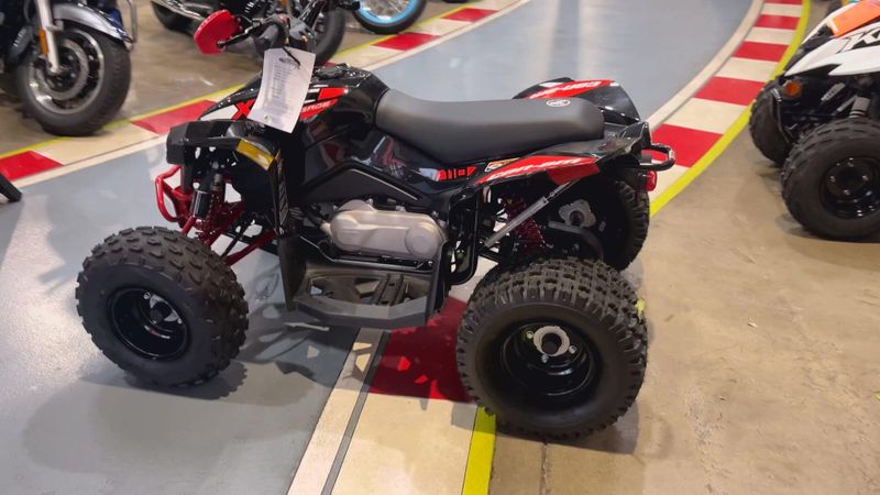New 2026 Can-Am RENEGADE X XC 110 EFI Image 9