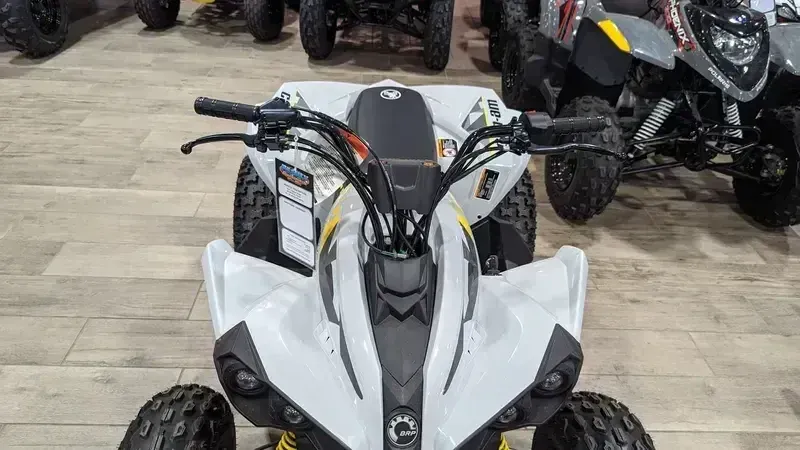 2024 Can-Am RENEGADE 110 EFI CATALYST GRAY AND NEO YELLOWImage 13