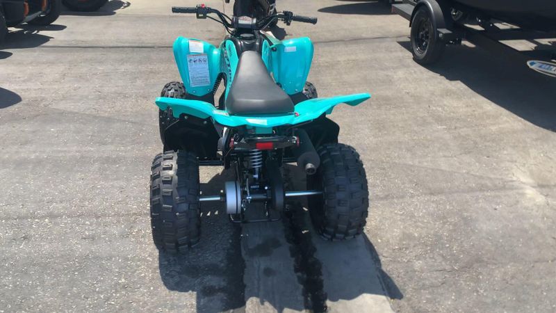 New 2025 Yamaha RAPTOR 110 Image 9