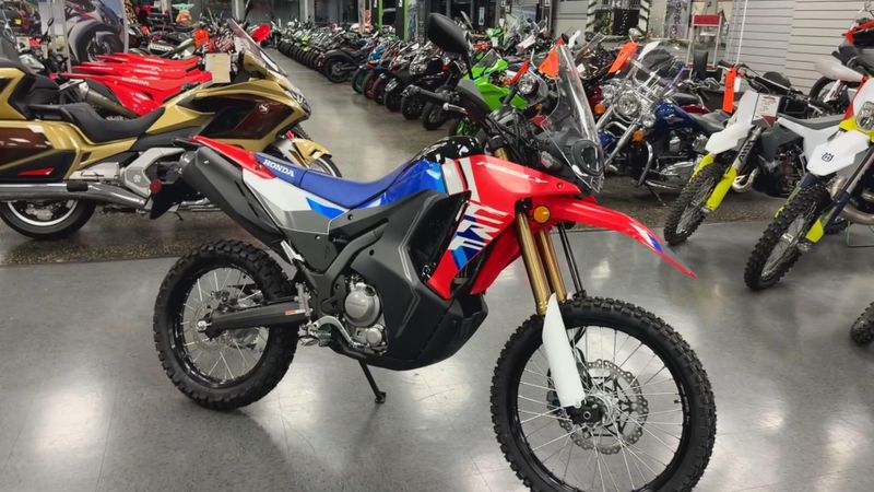 New 2025 Honda CRF300L RALLY Image 6