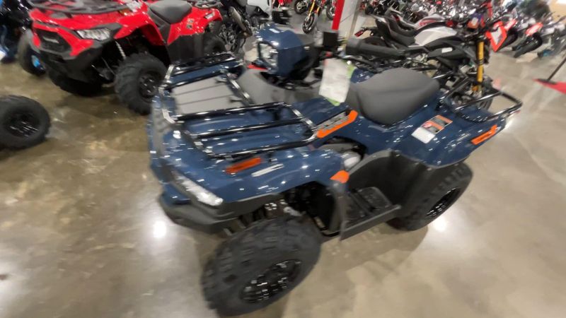 New 2026 Kawasaki BRUTE FORCE 300 Image 3