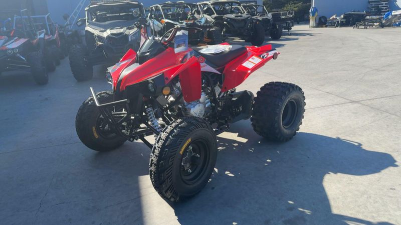 New 2026 Kayo STORM 300 Image 8