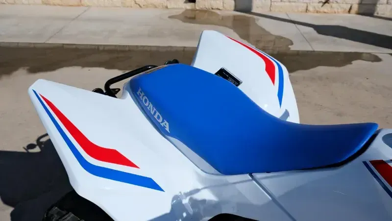 NEW 2026 HONDA TRX250X Image 10