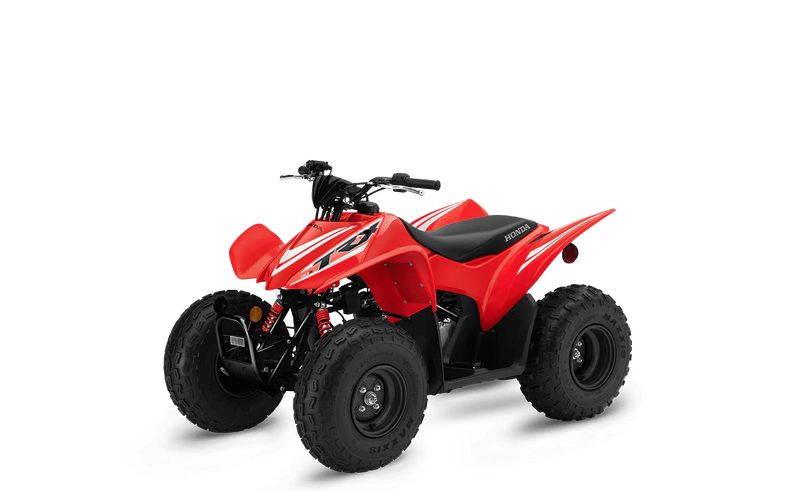 2025 Honda TRX90X Image 1