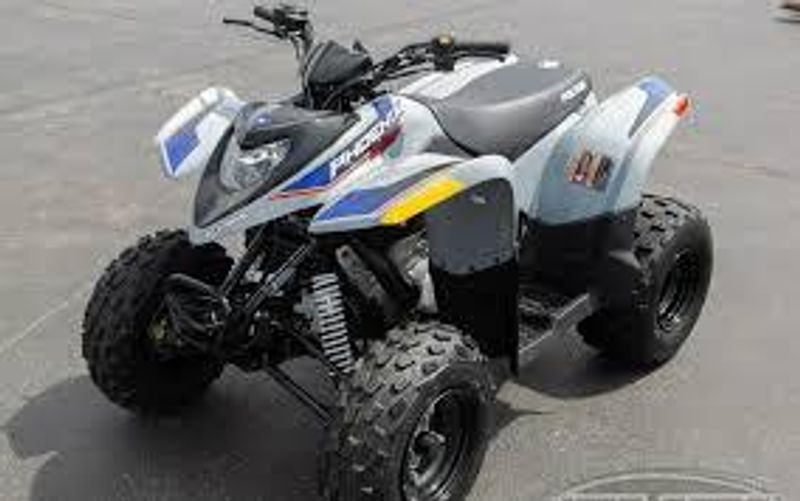2025 Polaris PHOENIX 200 STORM GRAY Image 3