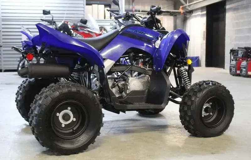 2025 Yamaha RAPTOR 110 TEAM BLUE Image 2