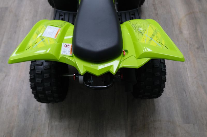 NEW 2026 YAMAHA RAPTOR 110 Image 14