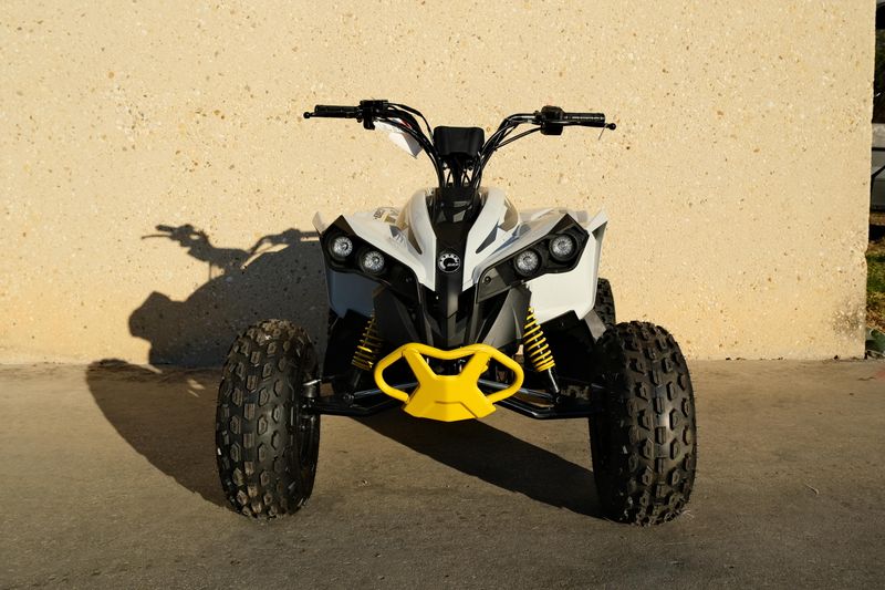 NEW 2026 CAN-AM RENEGADE 110 EFI Image 8