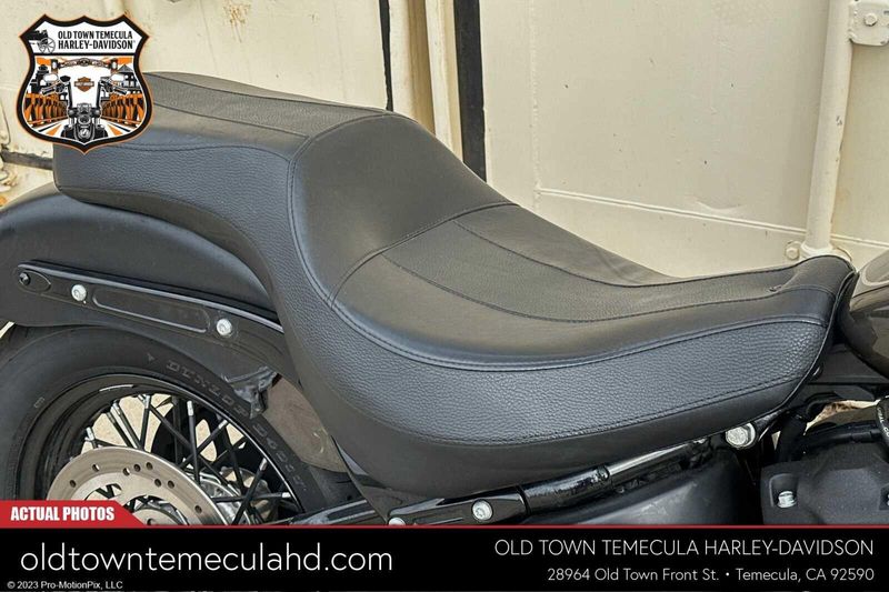 2020 Harley-Davidson Softail in a RIVER ROCK GRAY W/PINSTRIPE exterior color. BMW Motorcycles of Temecula – Southern California (951) 506-6903 bmwmotorcyclesoftemecula.com 