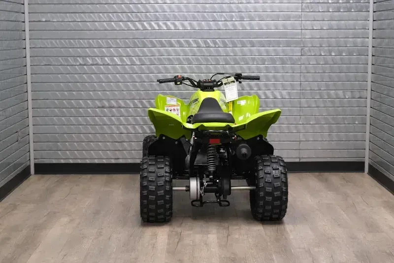 NEW 2026 YAMAHA RAPTOR 110 Image 9