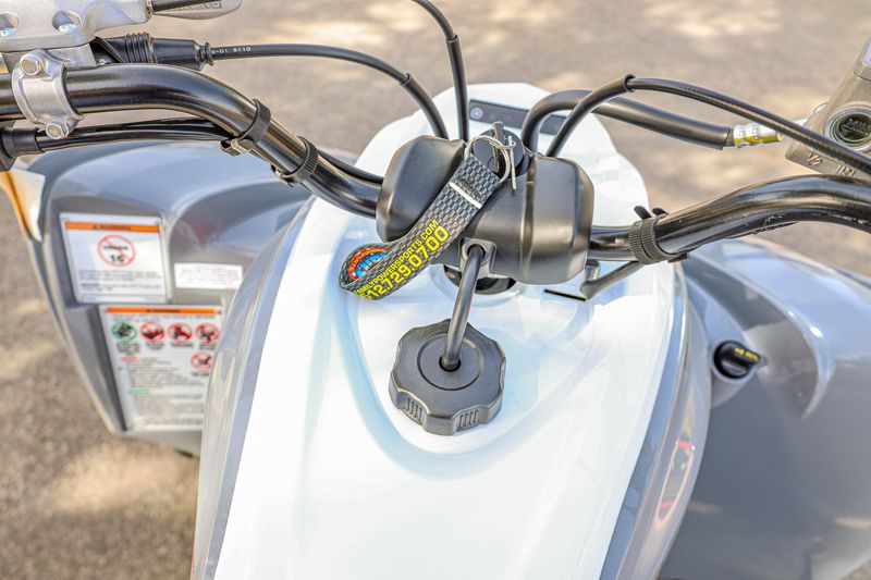 NEW 2026 YAMAHA RAPTOR 700 Image 5