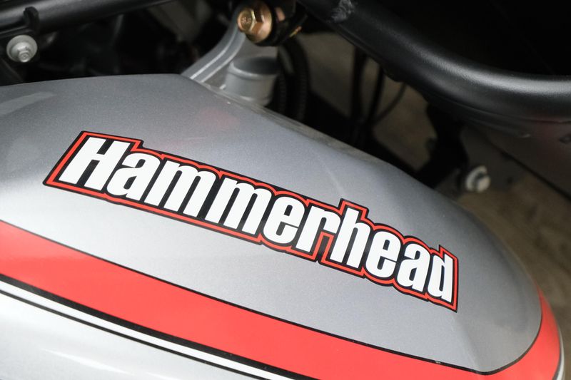 NEW 2026 HAMMERHEAD GTS PLATINUM Image 12