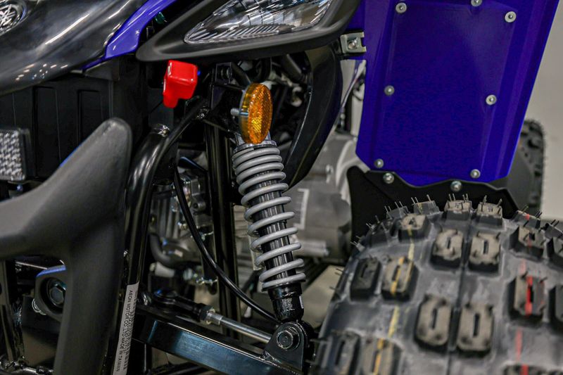 2025 Yamaha YFZ50 TEAM BLUEImage 5