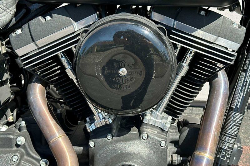 2017 Harley-Davidson DynaImage 10