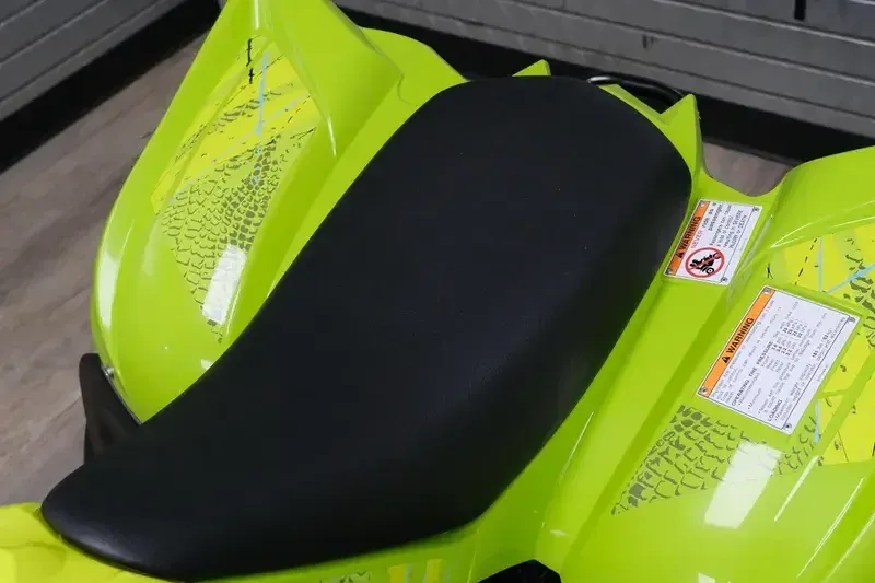 NEW 2026 YAMAHA RAPTOR 110 Image 10