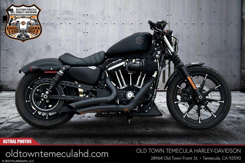 2019 Harley-Davidson Sportster in a BLACK DENIM exterior color. BMW Motorcycles of Temecula – Southern California (951) 506-6903 bmwmotorcyclesoftemecula.com 