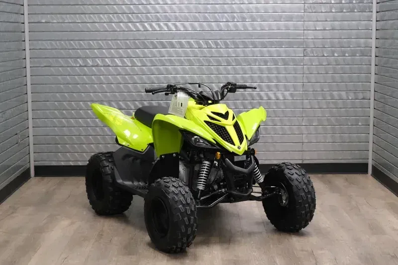 NEW 2026 YAMAHA RAPTOR 110 Image 1