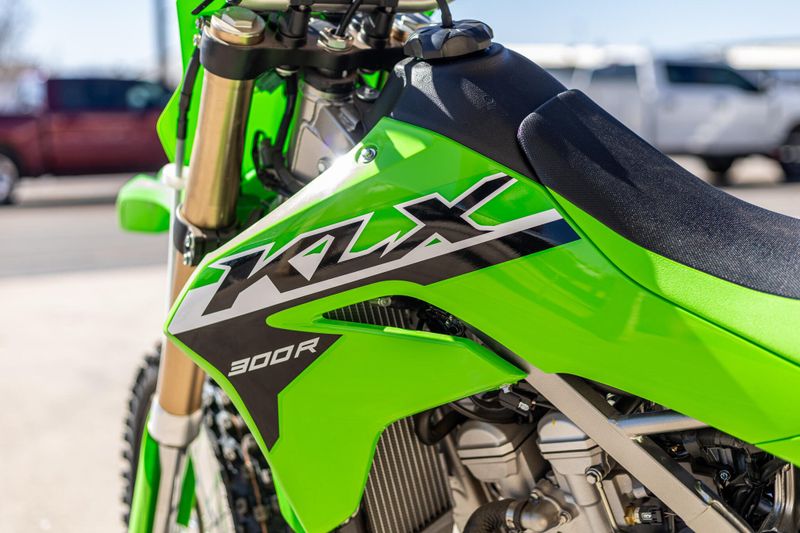 2025 Kawasaki KLX300RImage 6