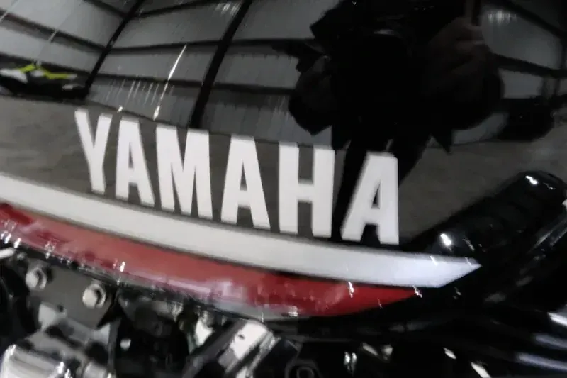 2025 Yamaha V STAR 250 RAVEN Image 9