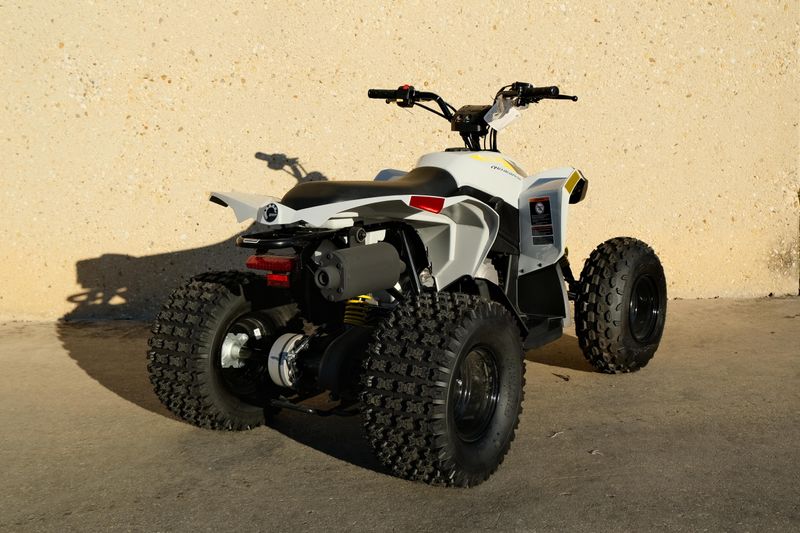 NEW 2026 CAN-AM RENEGADE 110 EFI Image 3
