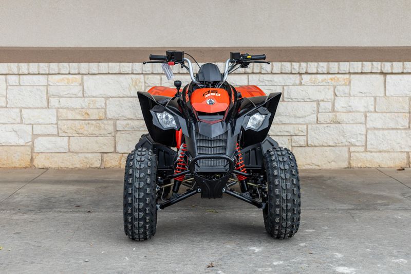 2025 Can-Am DS 250 BLACK AND CANAM RED Image 8