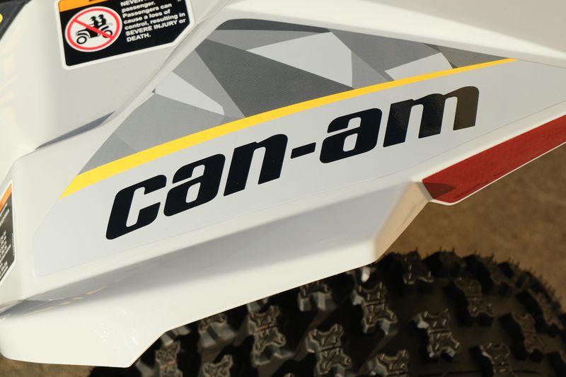 NEW 2026 CAN-AM RENEGADE 110 EFI Image 16