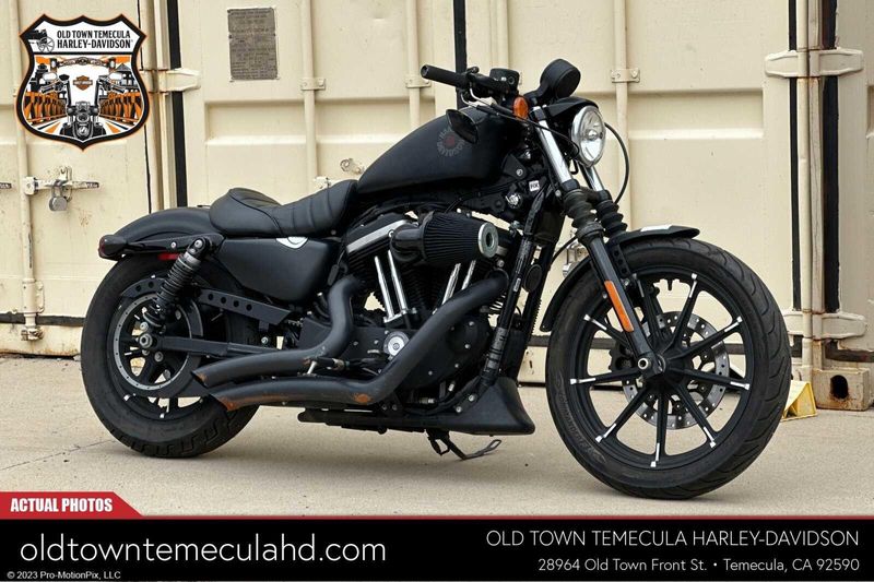 2019 Harley-Davidson Sportster in a BLACK DENIM exterior color. BMW Motorcycles of Temecula – Southern California (951) 506-6903 bmwmotorcyclesoftemecula.com 