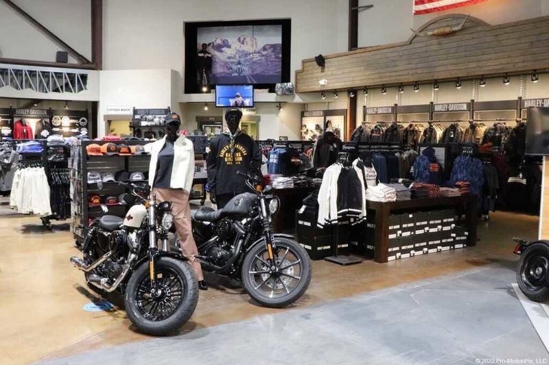 2022 Harley-Davidson Sportster in a BLACK DENIM exterior color. BMW Motorcycles of Temecula – Southern California (951) 506-6903 bmwmotorcyclesoftemecula.com 