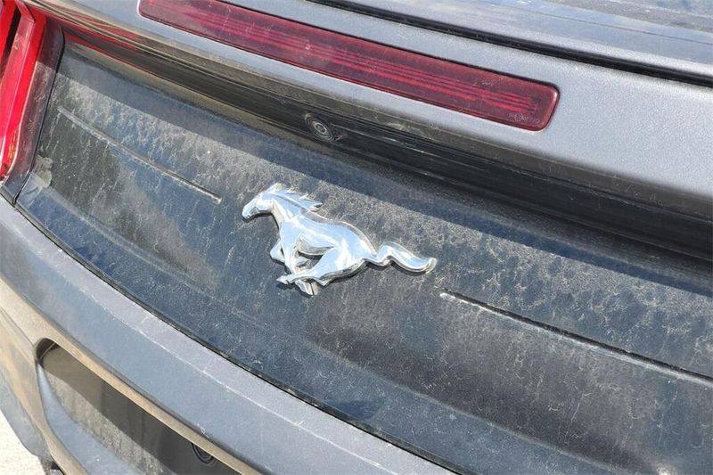 2023 Ford Mustang EcoBoost Premium photo 6