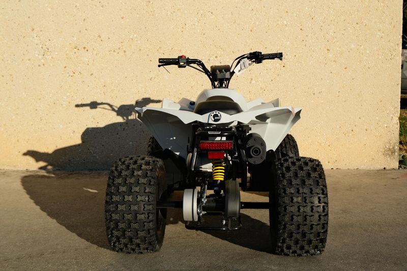 NEW 2026 CAN-AM RENEGADE 110 EFI Image 4