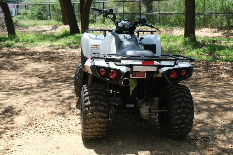 2023 Kawasaki BRUTE FORCE 300 BRIGHT WHITE Image 7