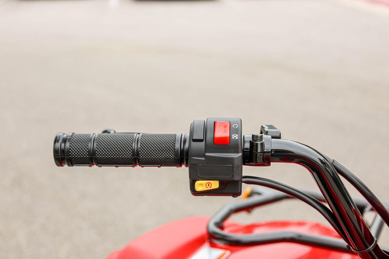 NEW 2025 YAMAHA GRIZZLY 110 Image 15