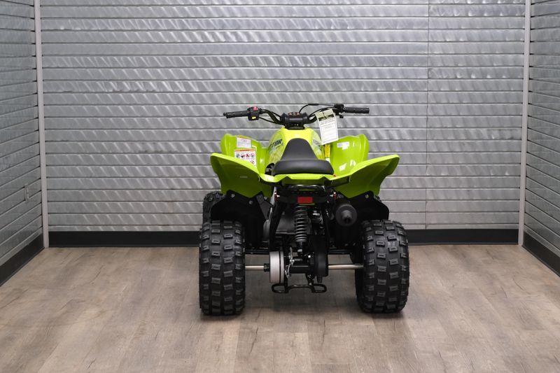 NEW 2026 YAMAHA RAPTOR 110 Image 4