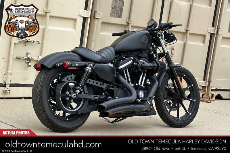 2019 Harley-Davidson Sportster in a BLACK DENIM exterior color. BMW Motorcycles of Temecula – Southern California (951) 506-6903 bmwmotorcyclesoftemecula.com 