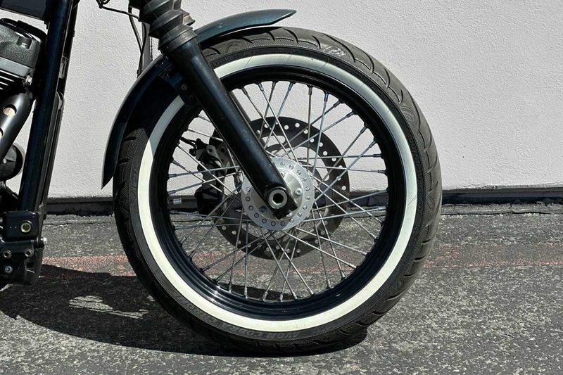 2020 Harley-Davidson SoftailImage 3