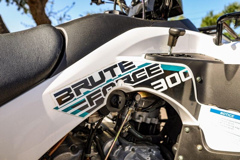 2022 Kawasaki BRUTE FORCE 300 Image 17