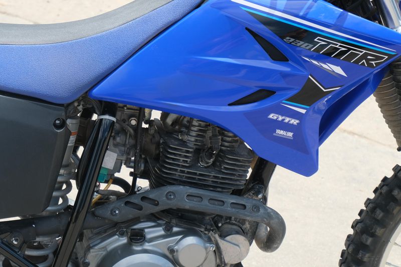 2021 Yamaha TTR230 BLUE Image 16