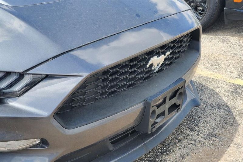 2023 Ford Mustang EcoBoost Premium photo 3