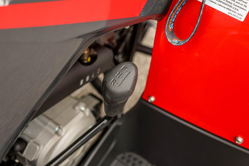 NEW 2025 YAMAHA GRIZZLY 110 Image 4