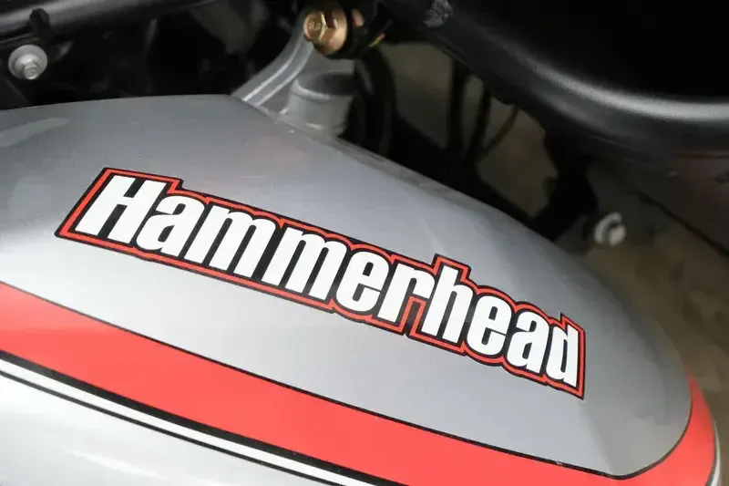 NEW 2026 HAMMERHEAD GTS 150 Image 13