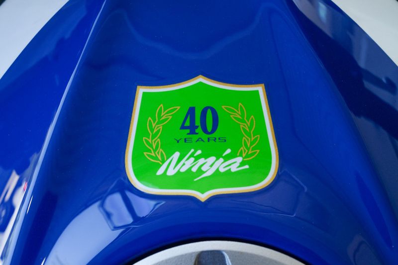 2024 Kawasaki NINJA 500 SE 40TH ANNIVERSARY EDITION  LIME GREENPEARL CRYSTAL WHITEBLUEImage 18