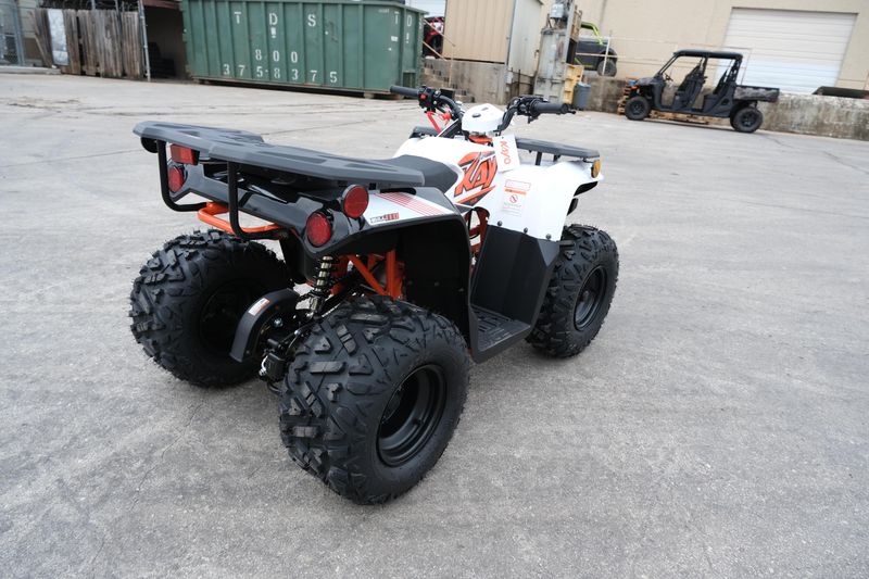 2024 KAYO BULL 110 WHITE in a WHITE exterior color. Family PowerSports (877) 886-1997 familypowersports.com 