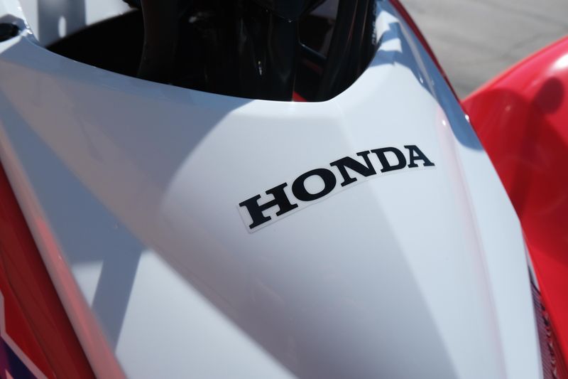 NEW 2026 HONDA TRX250X Image 9