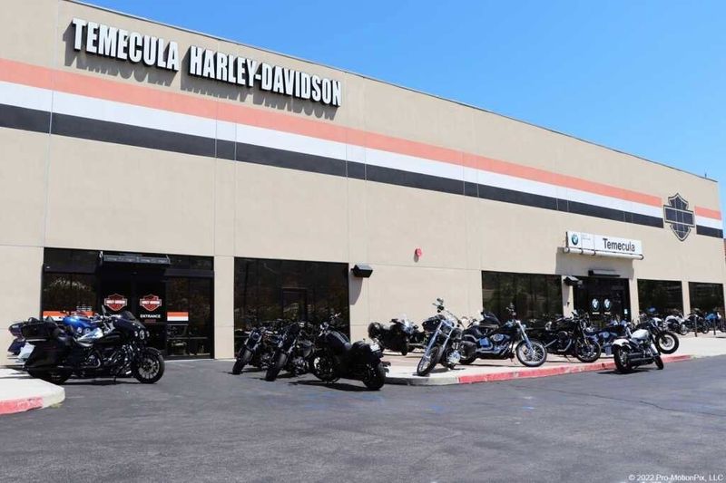 2022 Harley-Davidson Softail in a BLACK W/ PINSTRIPE exterior color. BMW Motorcycles of Temecula – Southern California 951-395-0675 bmwmotorcyclesoftemecula.com 