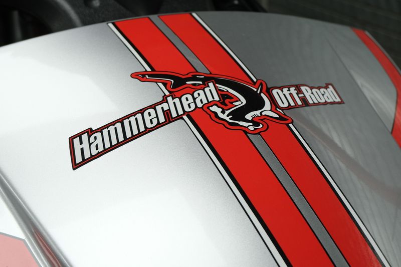 NEW 2026 HAMMERHEAD GTS PLATINUM Image 9