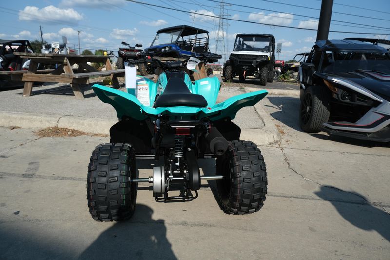 New 2025 Yamaha RAPTOR 110 TEAL Image 4