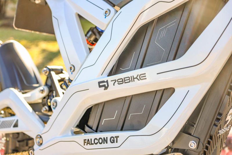 NEW 2025 79 BIKE FALCON GT Image 13